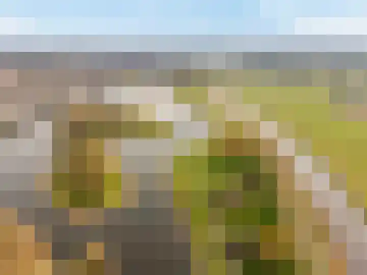 Amberhof 20 Rhoon thumbnail 43