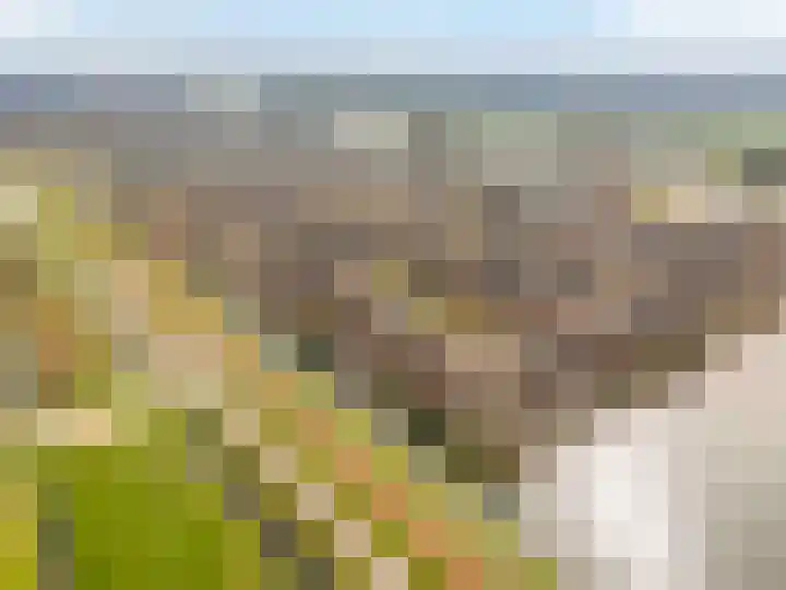 Amberhof 20 Rhoon thumbnail 44