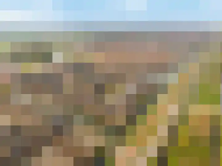 Amberhof 20 Rhoon thumbnail 45