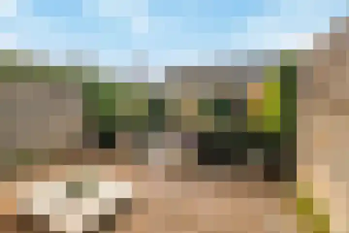 Amberhof 20 Rhoon thumbnail 5