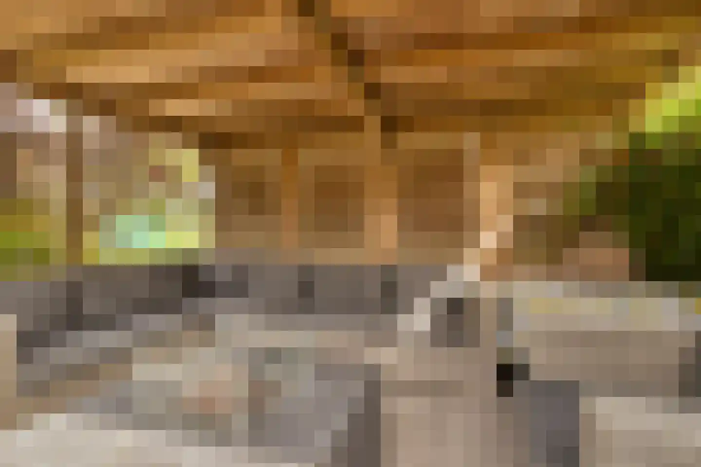 Amberhof 27 Rhoon thumbnail 49
