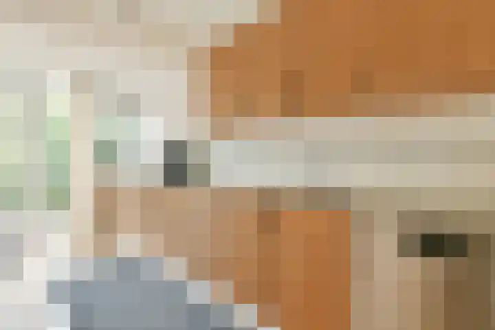 Amberlaan 11 Amstelveen thumbnail 10