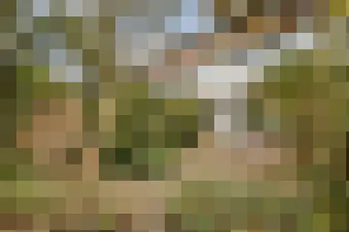 Amberlaan 11 Amstelveen thumbnail 13