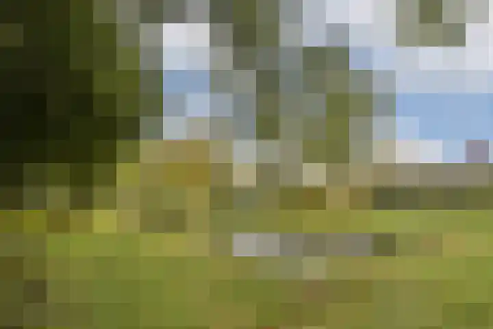 Amberlaan 11 Amstelveen thumbnail 24