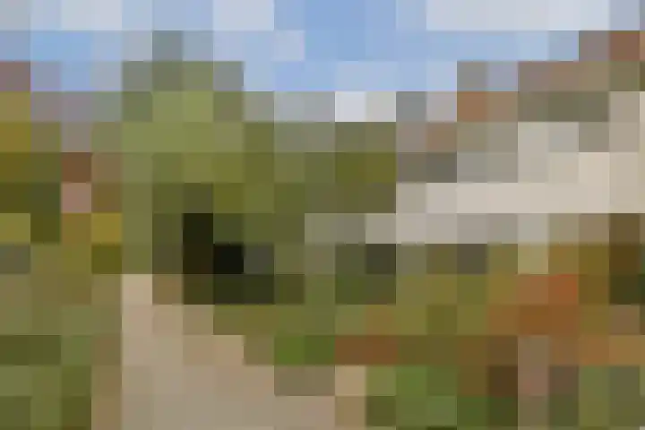 Amberlaan 11 Amstelveen thumbnail 25