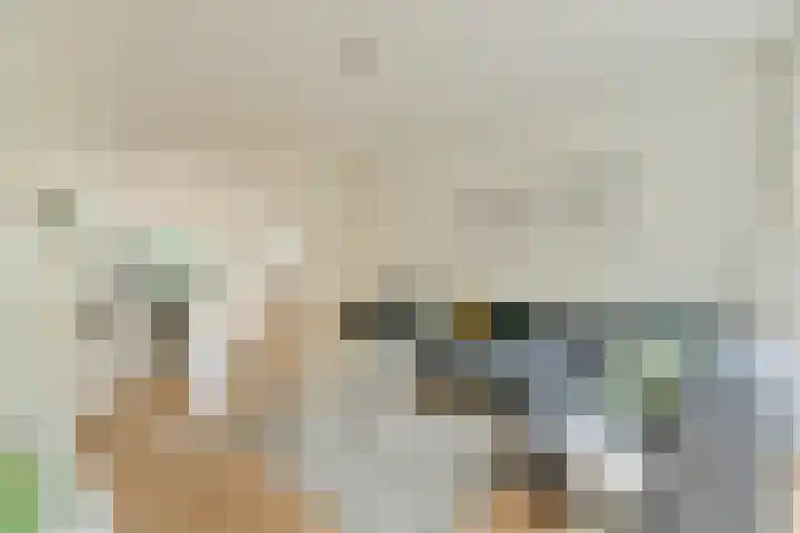 Amberlaan 11 Amstelveen thumbnail 5