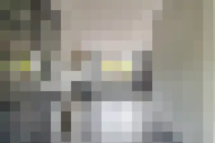 Amberlaan 23 Dirksland thumbnail 10