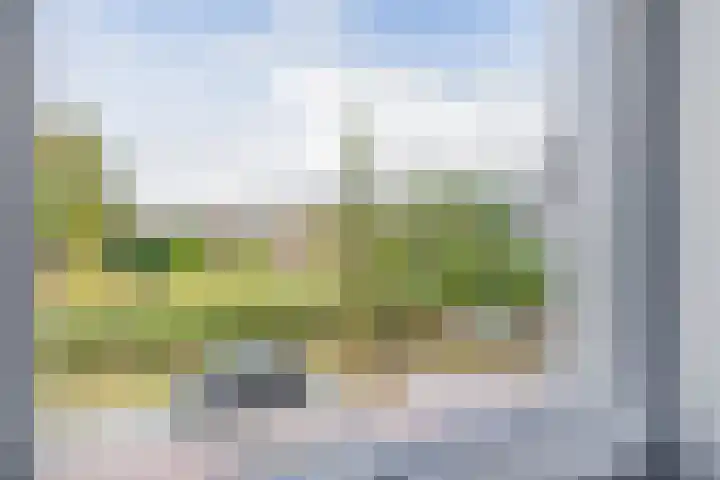 Amberlaan 23 Dirksland thumbnail 25