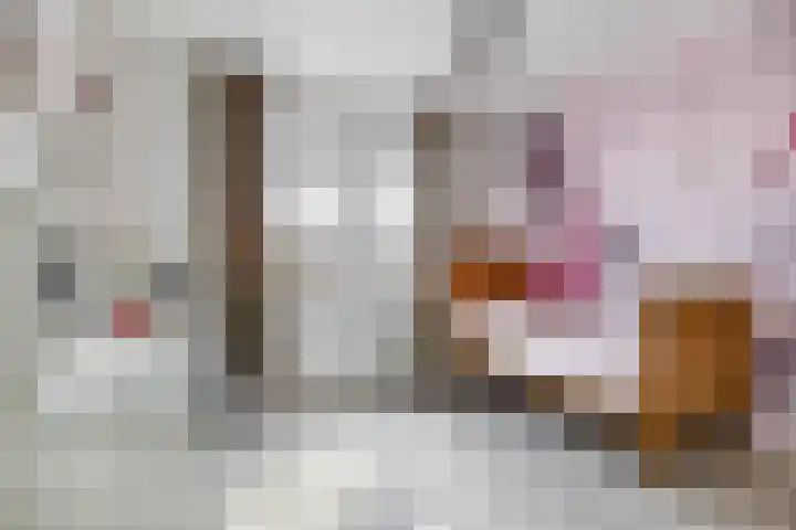 Amberlaan 23 Dirksland thumbnail 26