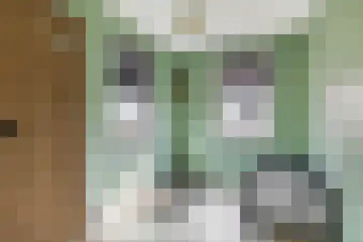 Amberlaan 23 Dirksland thumbnail 28