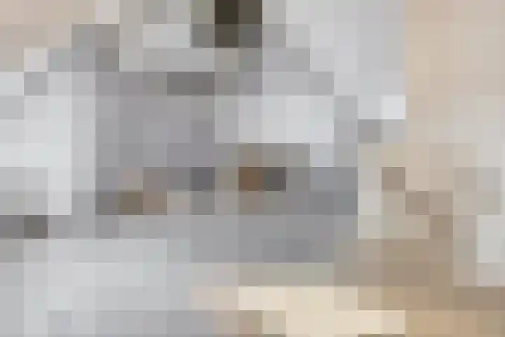 Amberlaan 23 Dirksland thumbnail 31