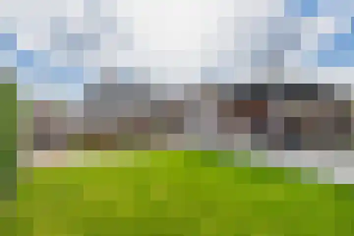 Amberlaan 23 Dirksland thumbnail 35