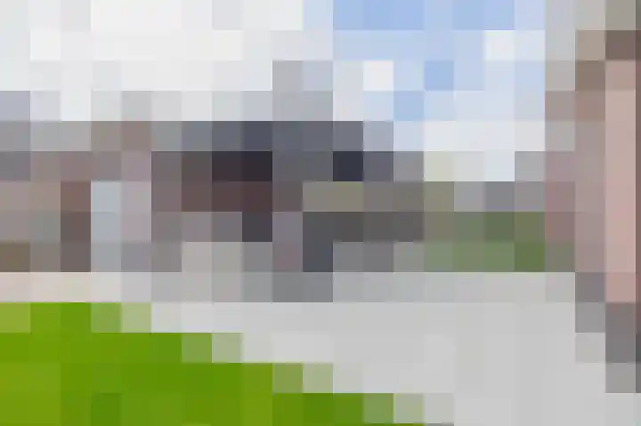 Amberlaan 23 Dirksland thumbnail 36