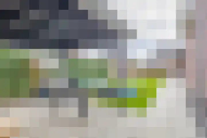 Amberlaan 23 Dirksland thumbnail 40