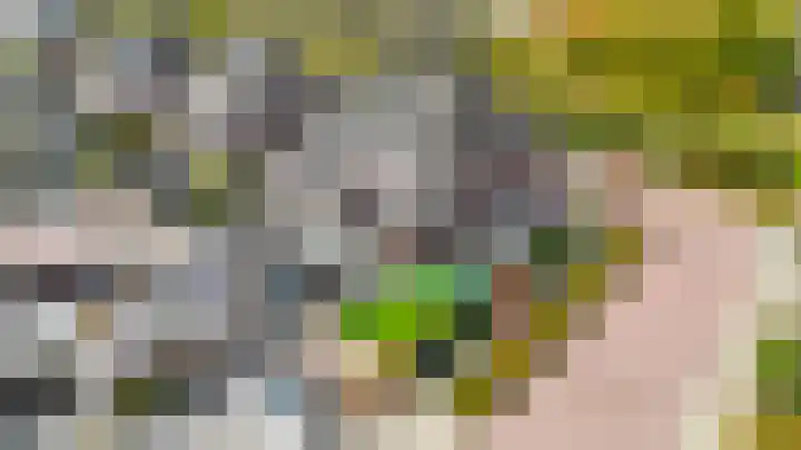 Amberlaan 23 Dirksland thumbnail 44
