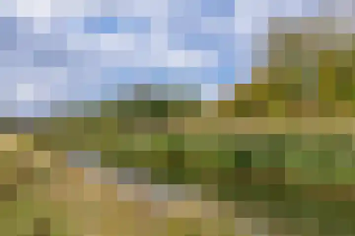 Amberlaan 23 Dirksland thumbnail 46