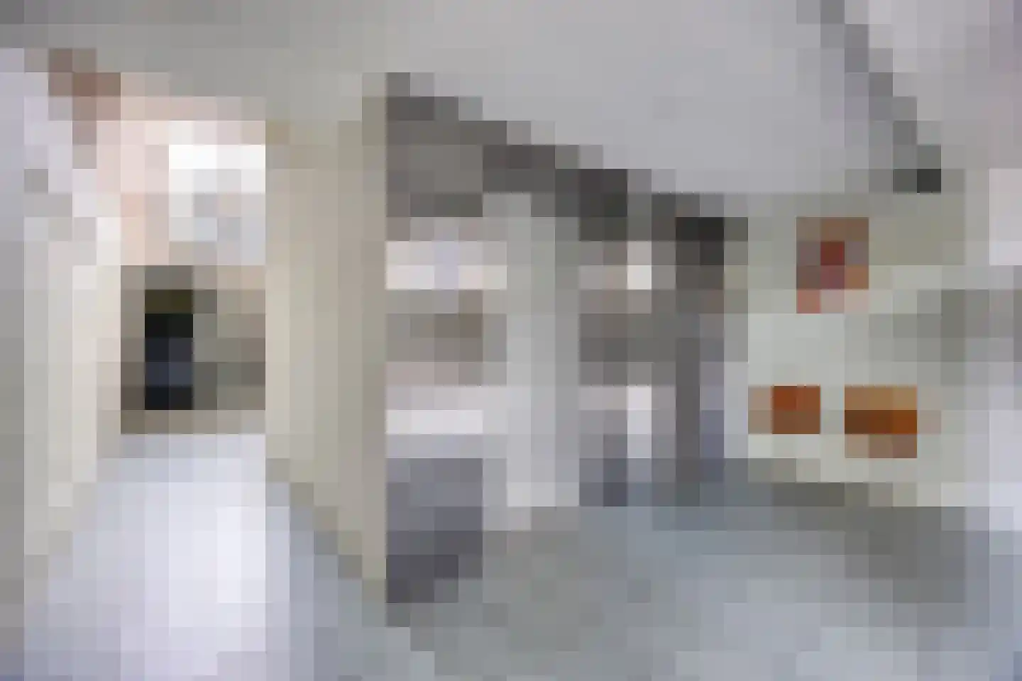Amberlaan 58 Amstelveen thumbnail 15
