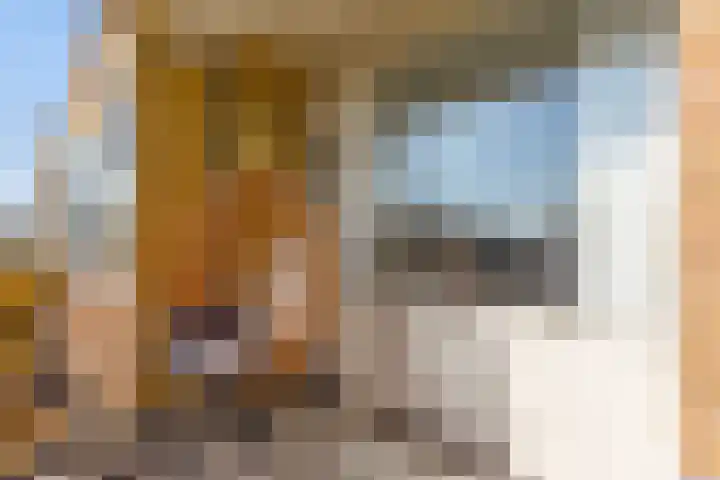 Amberlaan 68 Amstelveen thumbnail 17