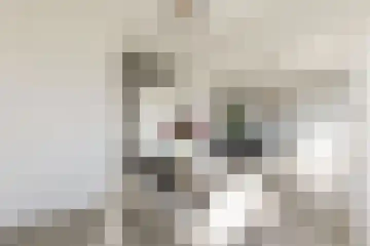 Amberlaan 68 Amstelveen thumbnail 8