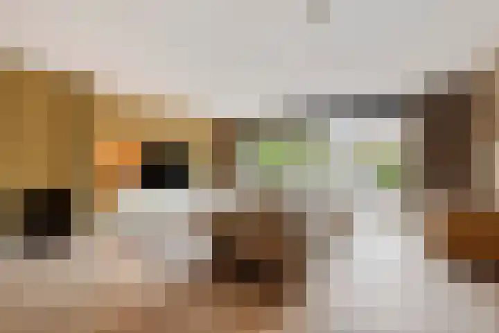 Amberveld 18 Etten-Leur thumbnail 27
