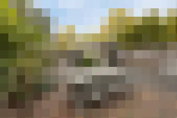 Amberveld 18 Etten-Leur thumbnail 54