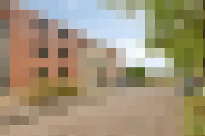 Amberveld 18 Etten-Leur thumbnail 60