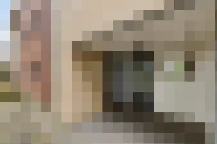 Amberveld 18 Etten-Leur thumbnail 7