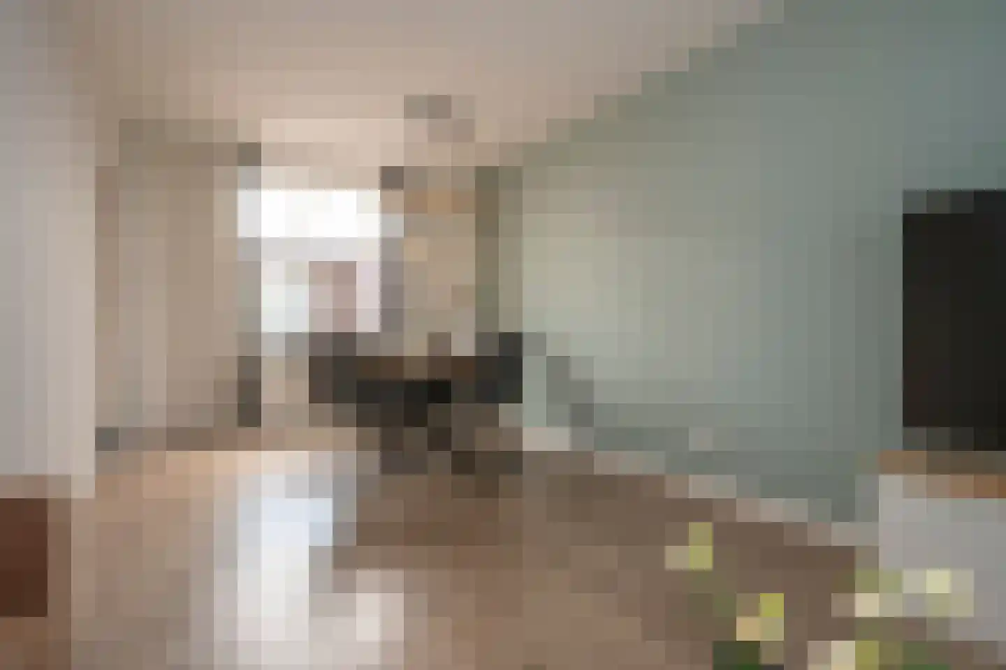 Ambiorixstraat 1 Stein thumbnail 17