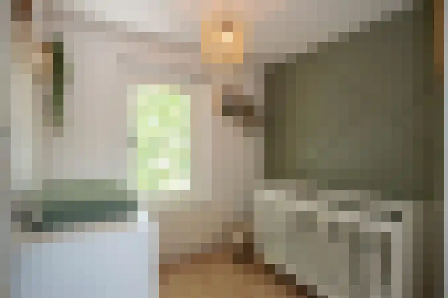 Ambiorixstraat 1 Stein thumbnail 26