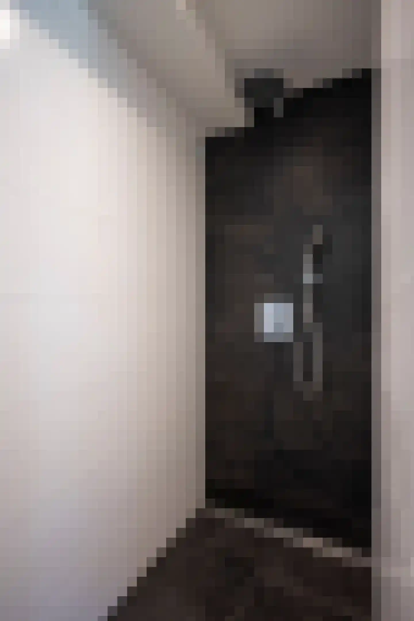Ambiorixstraat 1 Stein thumbnail 36