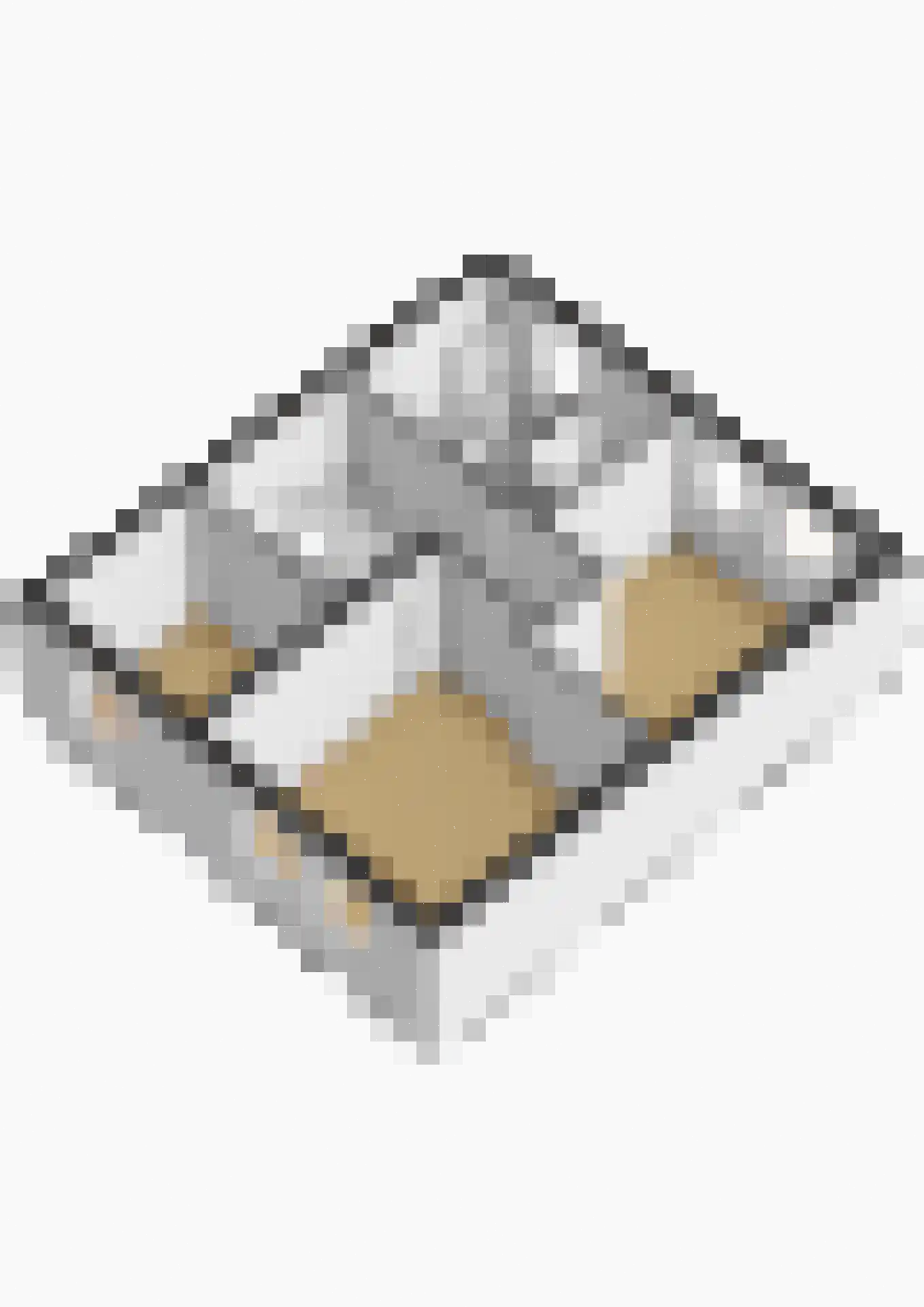 Ambiorixstraat 1 Stein thumbnail 47