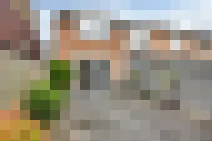 Ambiorixweg 71 Maastricht thumbnail 20