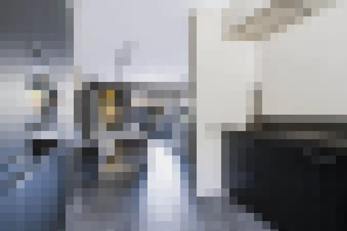 Ambon 17 Barneveld thumbnail 15