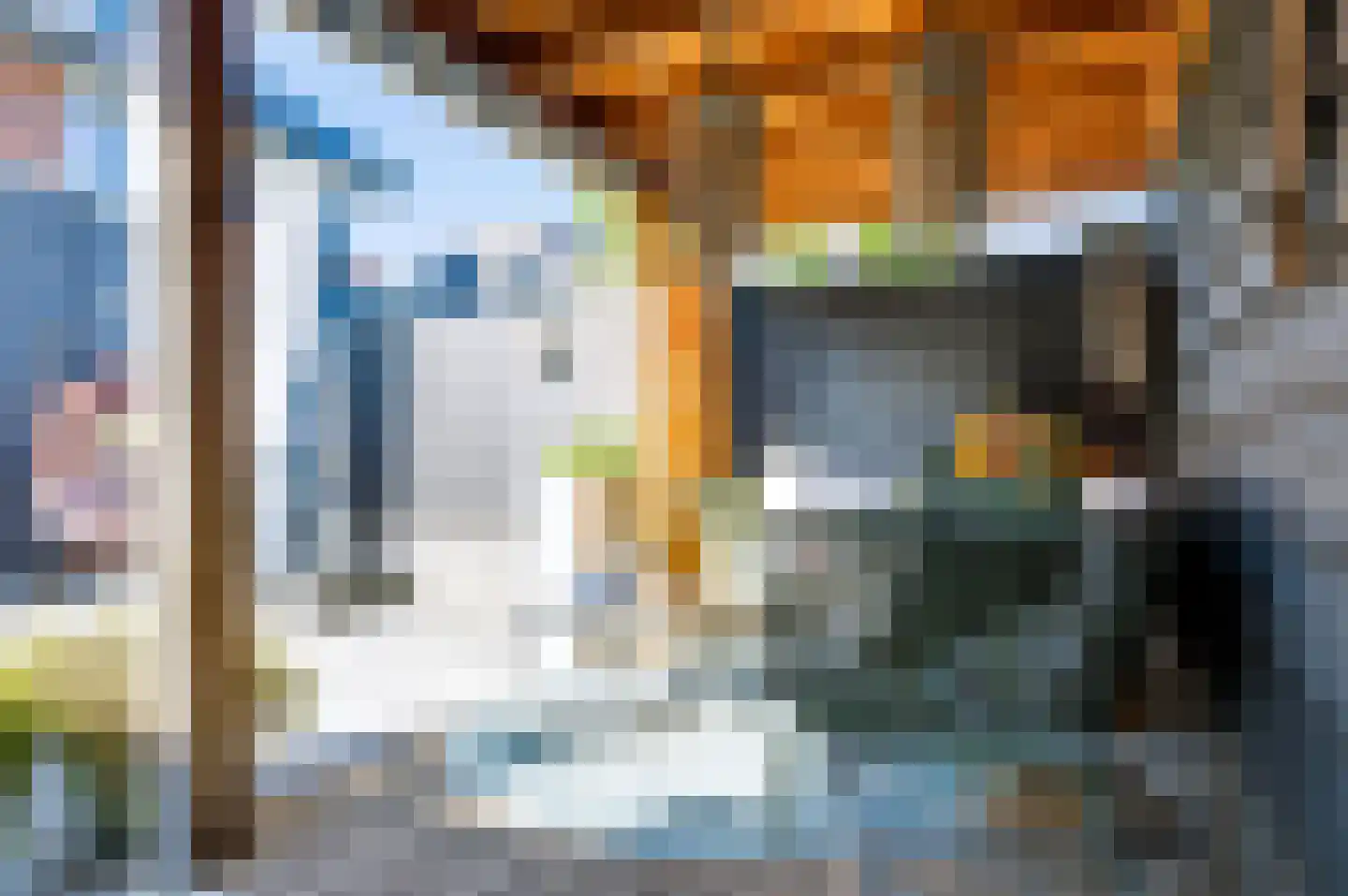 Ambon 17 Barneveld thumbnail 35