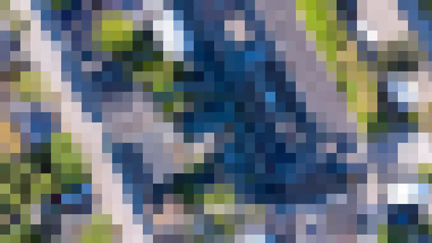 Ambon 17 Barneveld thumbnail 37