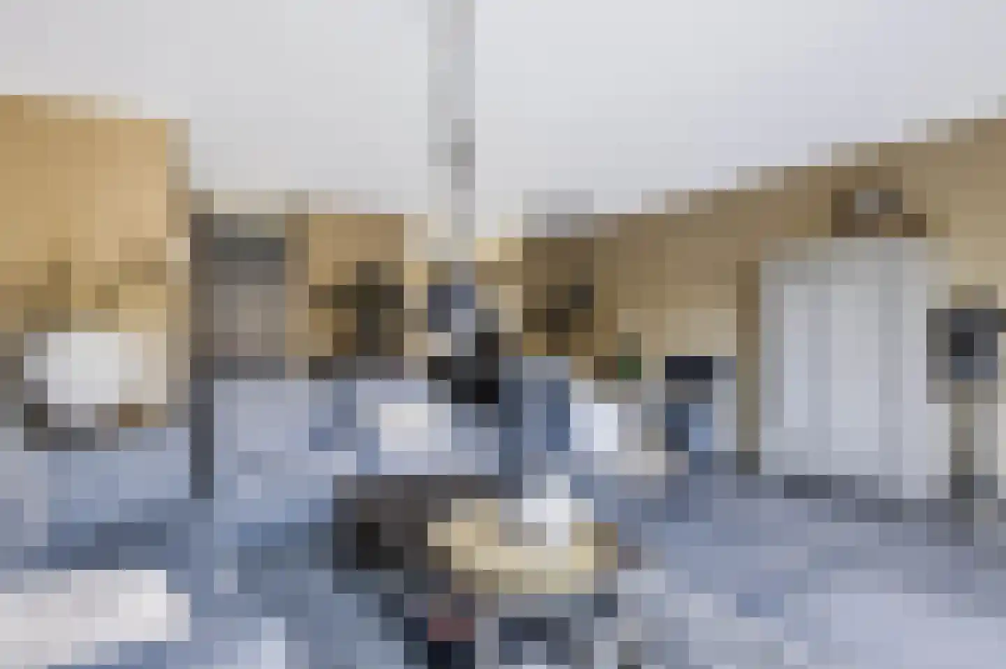 Ambon 17 Barneveld thumbnail 8
