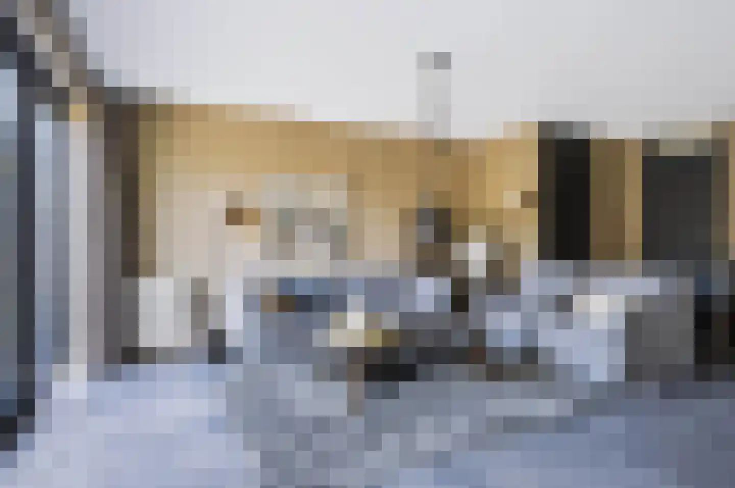 Ambon 17 Barneveld thumbnail 9