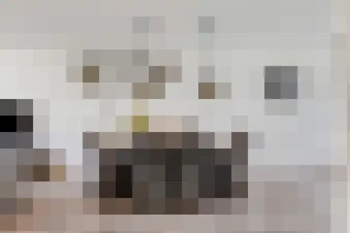 Ambon 26 Barneveld thumbnail 14