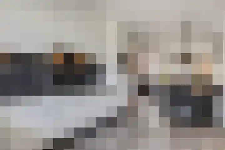 Ambon 26 Barneveld thumbnail 16