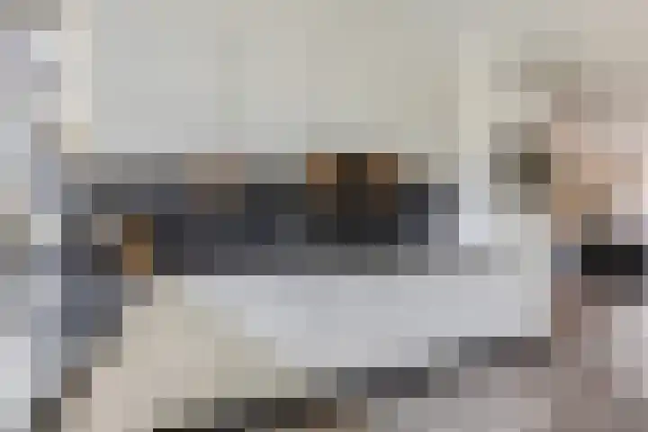Ambon 26 Barneveld thumbnail 17