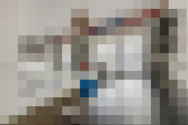 Ambon 26 Barneveld thumbnail 21