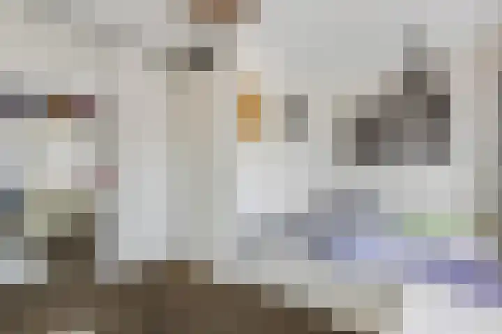 Ambon 26 Barneveld thumbnail 22