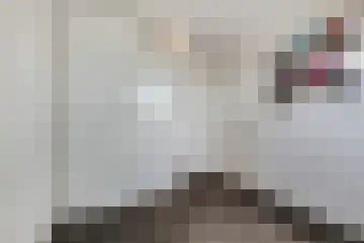Ambon 26 Barneveld thumbnail 27