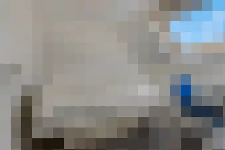 Ambon 26 Barneveld thumbnail 28