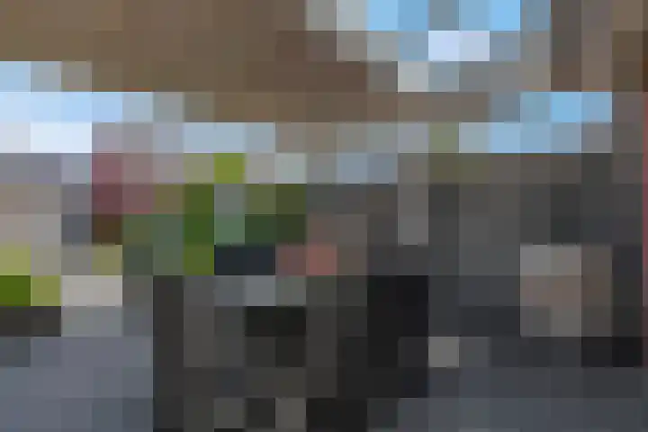Ambon 26 Barneveld thumbnail 30