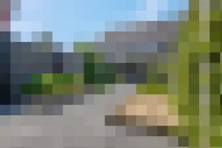Ambon 26 Barneveld thumbnail 31