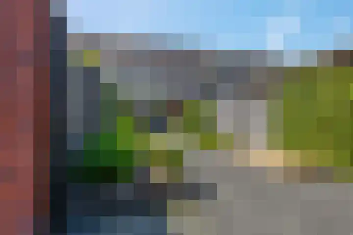 Ambon 26 Barneveld thumbnail 32