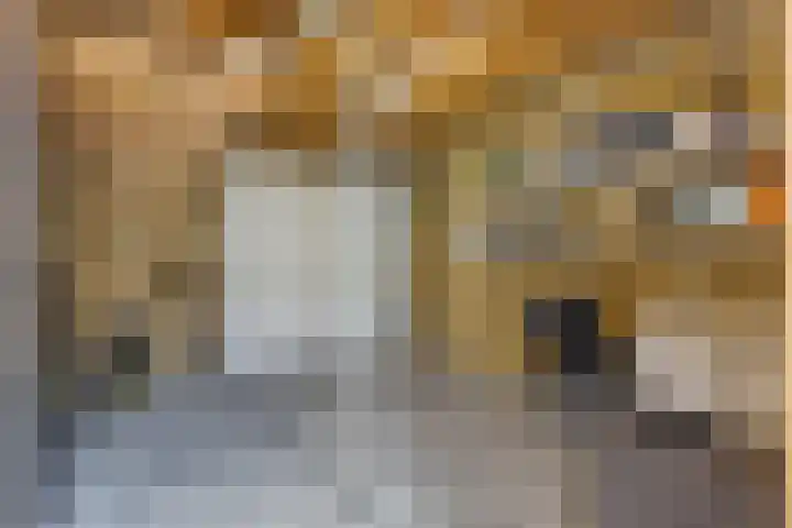 Ambon 26 Barneveld thumbnail 34