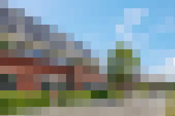 Ambon 26 Barneveld thumbnail 7