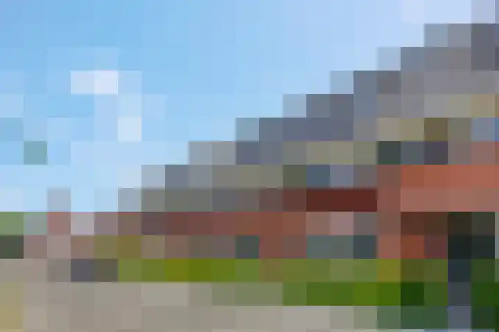 Ambon 26 Barneveld thumbnail 8